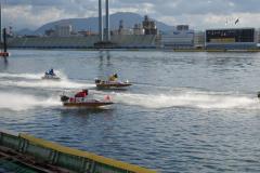 alb_217766167m.JPG