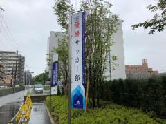 alb_372341258m.jpg