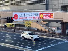 alb_436462981m.JPG